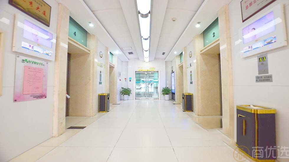 青岛香缇树——城市绿洲中的理想生活新选择
