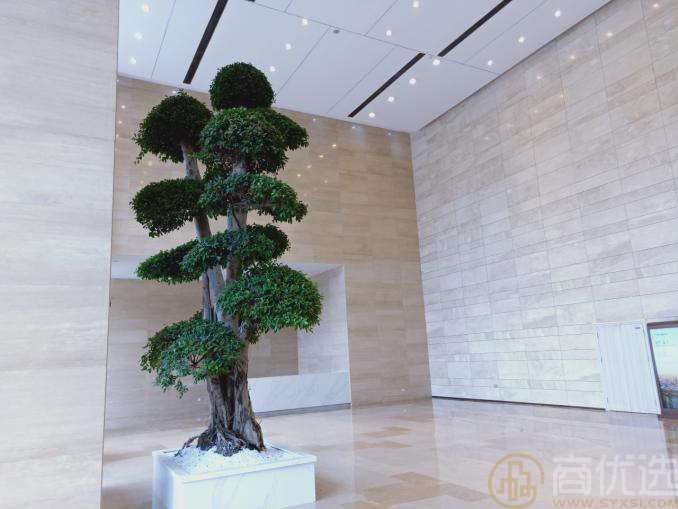 重庆盈讯天地:城市新贵的品质之选