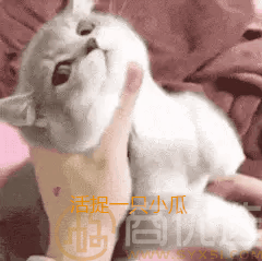 南昌凤凰宝邸——城市绿洲中的理想居所
