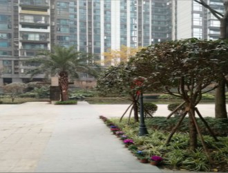 苏州上坤云栖时光——城市绿洲中的理想生活新选择