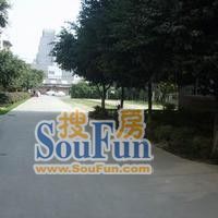 成都紫荆民航快递大楼